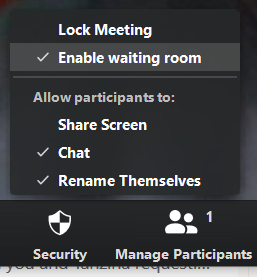 Security button within Zoom